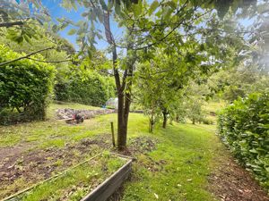 Photo 1- click for photo gallery